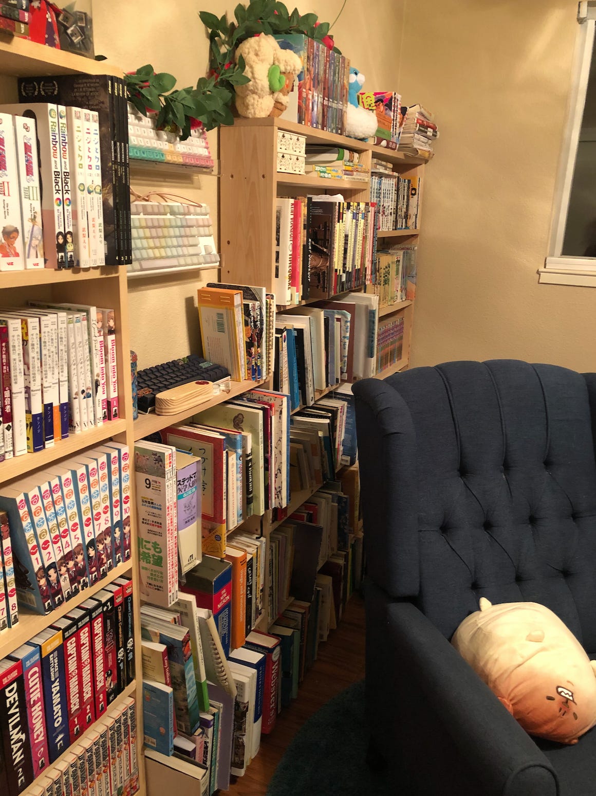 More bookshelves and more books