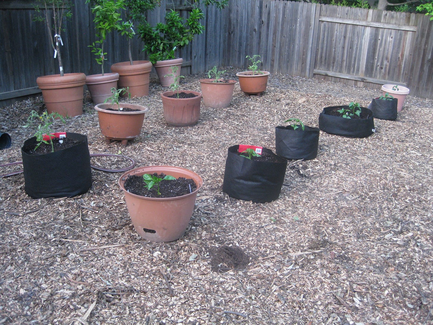 Garden Pots