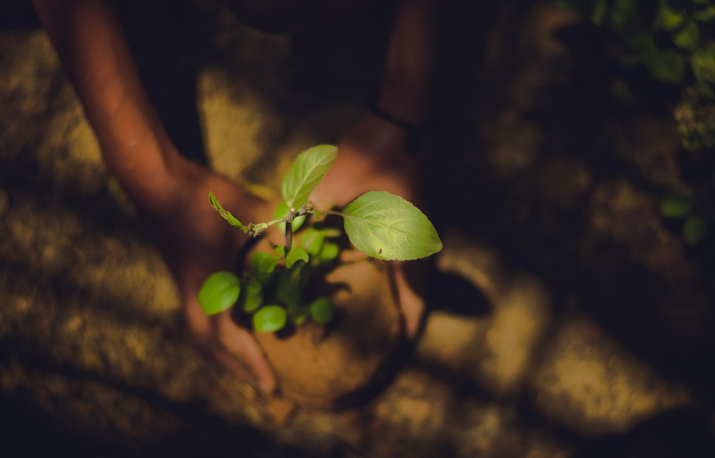 Photo by Kasturi Laxmi Mohit on Unsplash Photo by Kasturi Laxmi Mohit on Unsplash