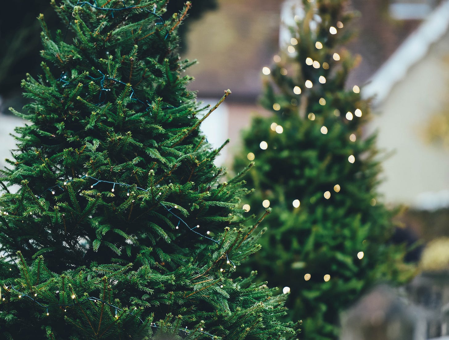 Two decorated Christmas trees outdoors with a blurry house in the near background.