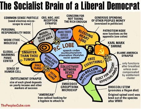 The Socialist Brain of a Liberal 
CONCERN FOR 
COMMON SENSE PARTICLE CBS. NBC. ABC NOT TAXING 
GENEROt 
RECEPTION THERICH ENOUGH 
Of OTHER P 
electron nicro• 
SYNAPSE 
scope 
PERSONAL 
rms 
RESPONSIBILITY NODE 
WORK ETHIC 
MOLECULE 
"t. LOBE 
0 
speech codes 
GLOBAL — 
RTER 
multicuttu 
WARMING THAN THOU 
•Rern•tive I Ifesty'es 
racial 
TUMOR 
CENTER 
Gina 
OLLECTIVIST 
SENSE OF 
HUMOR CELL 
ENTITLEMENT SYNAPSE 