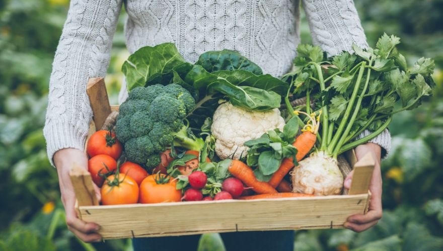 Agricultura sostenible: 4 acciones para apoyarla | Jappi®