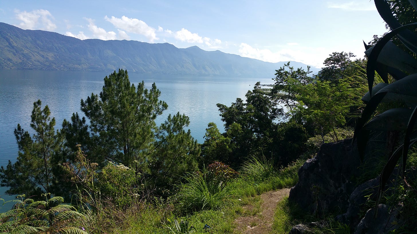 The view from a dirt hiking trail on the island of Sumatra. Looks out over the water at a mountainous shoreline in the distance. Thick greenery obscures the lower portion of the view.