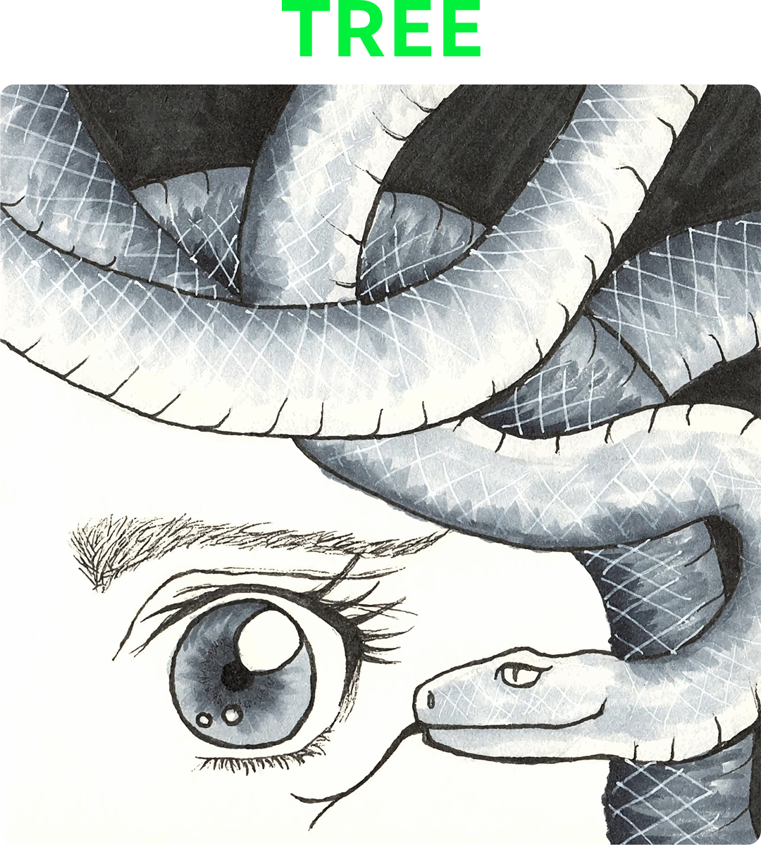 Ink illustration: close up of a female head with a snake wrapped around it. The focus is on the eye and the snake’s head, which is very close to the eye. The snake looks pleased with itself.