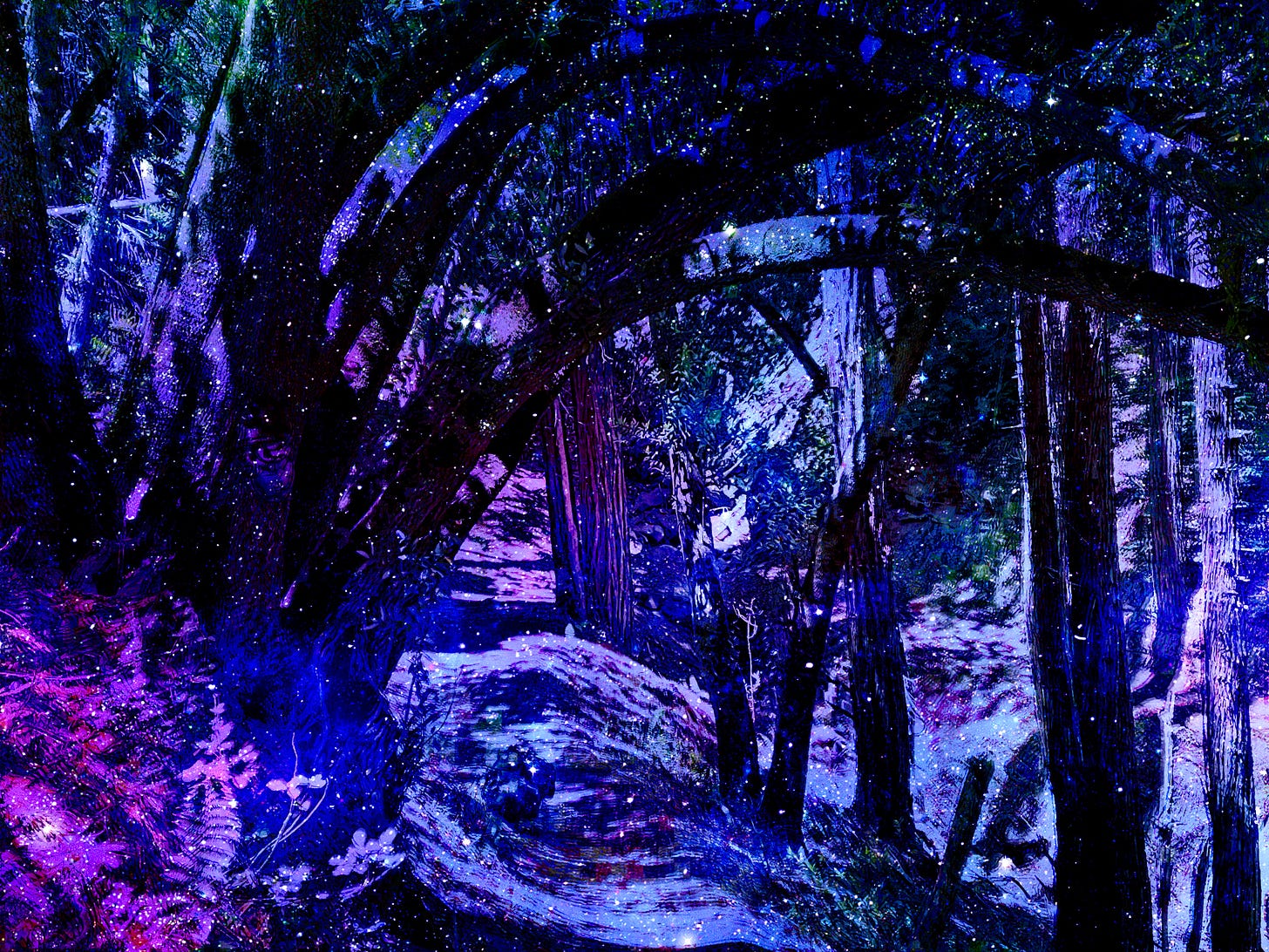 A double exposure photograph showing a dark blue starry sky and a path leading into the woods.