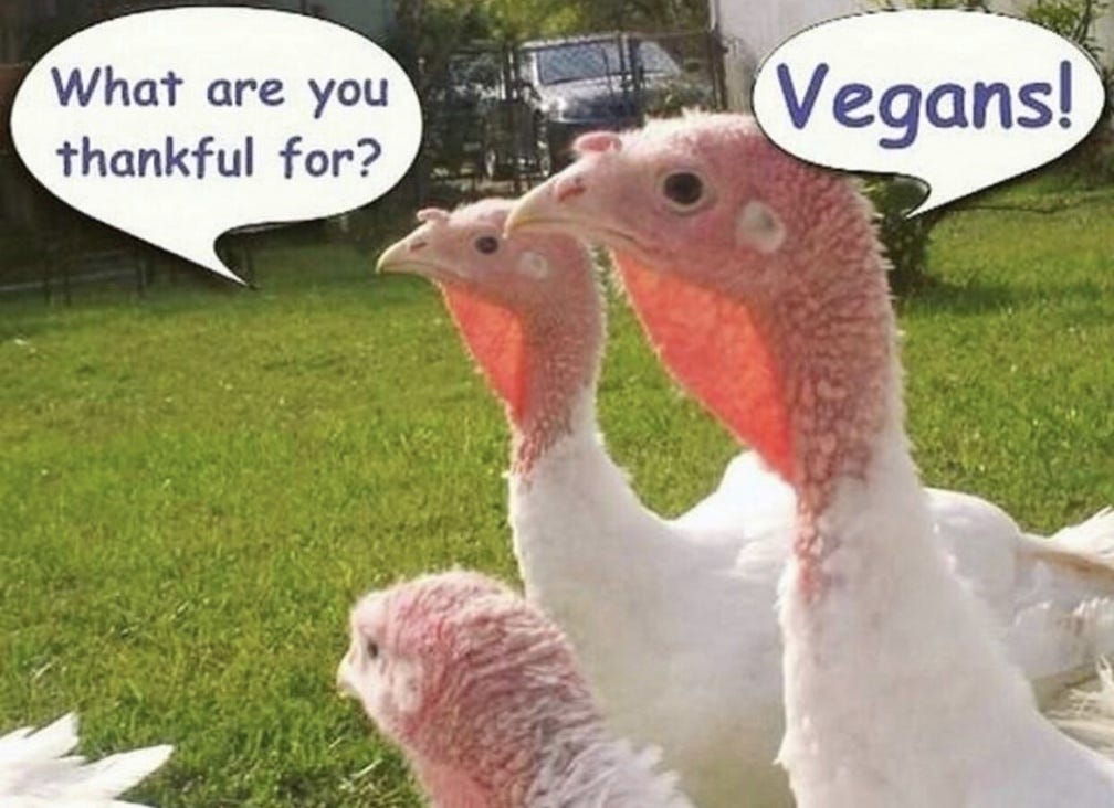 6 Vegan Thanksgiving Memes To Make You Feel Less Lonely