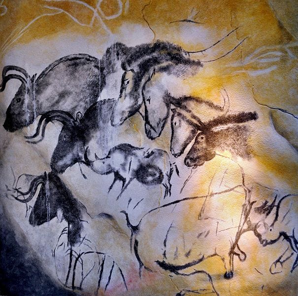 Bestand:Etologic horse study, Chauvet cave.jpg - Wikipedia