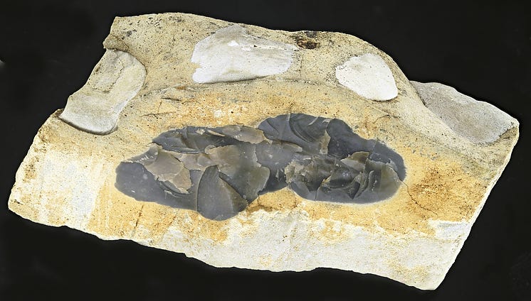 Chert: Mineral information, data and localities.