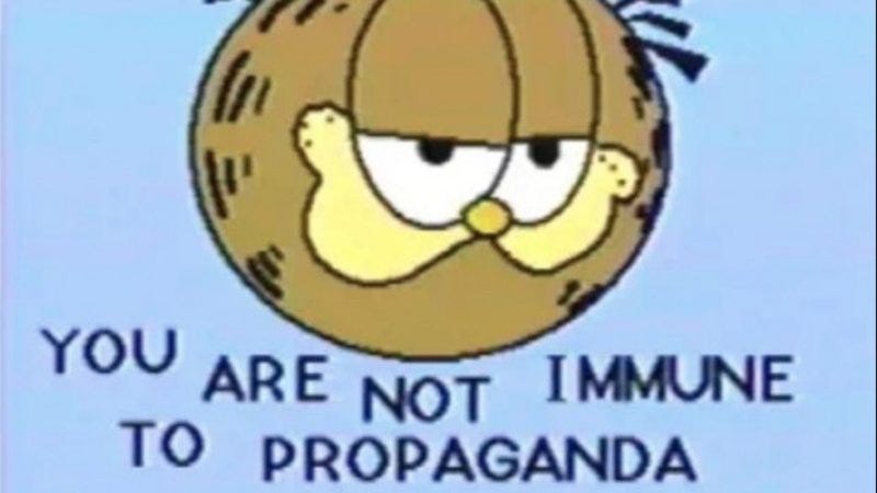 an image of the face of garfield, a cartoon ginger cat with a smug expression, against a blue backgroun. beneath him are the words, "YOU ARE NOT IMMUNE TO PROPAGANDA"