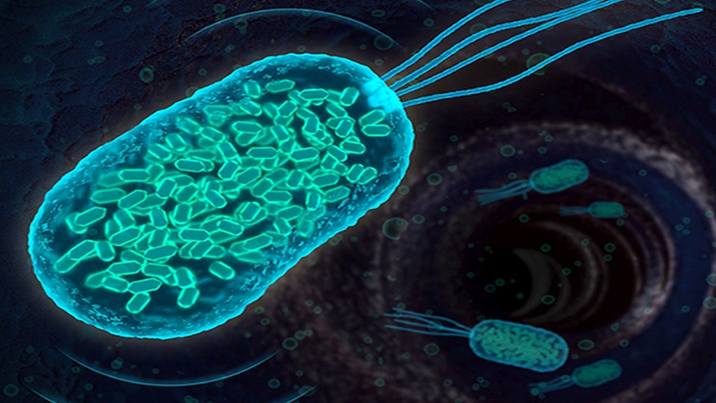Making Good Bacteria Better, and Easy to Track, Thanks to Genetic  Engineering