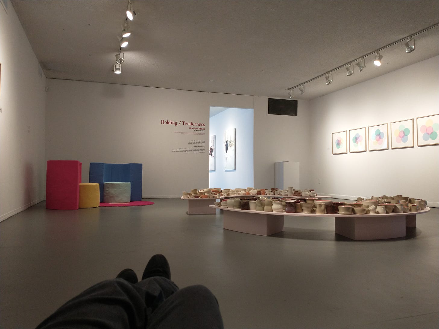 Photograph of Reeves' installation- the title wall is visible, as are one set of soft sculptures, the ceramic pieces on a low shelf, and screenprints on the right.