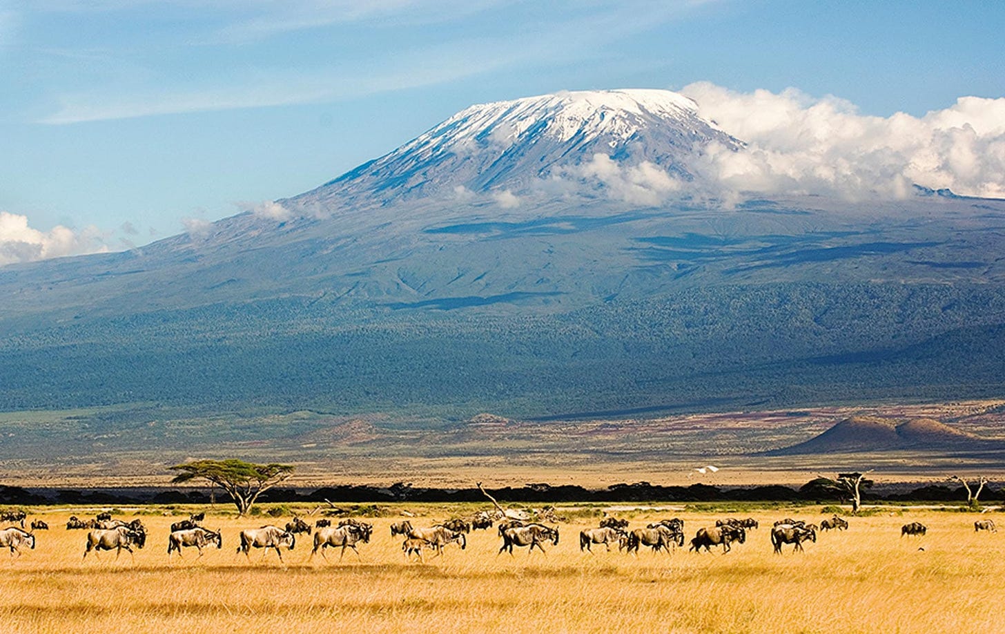 Mount Kilimanjaro - Africa Destination - Micato Safaris