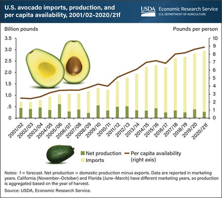 Imports play dominant role as U.S. demand for avocados climbs