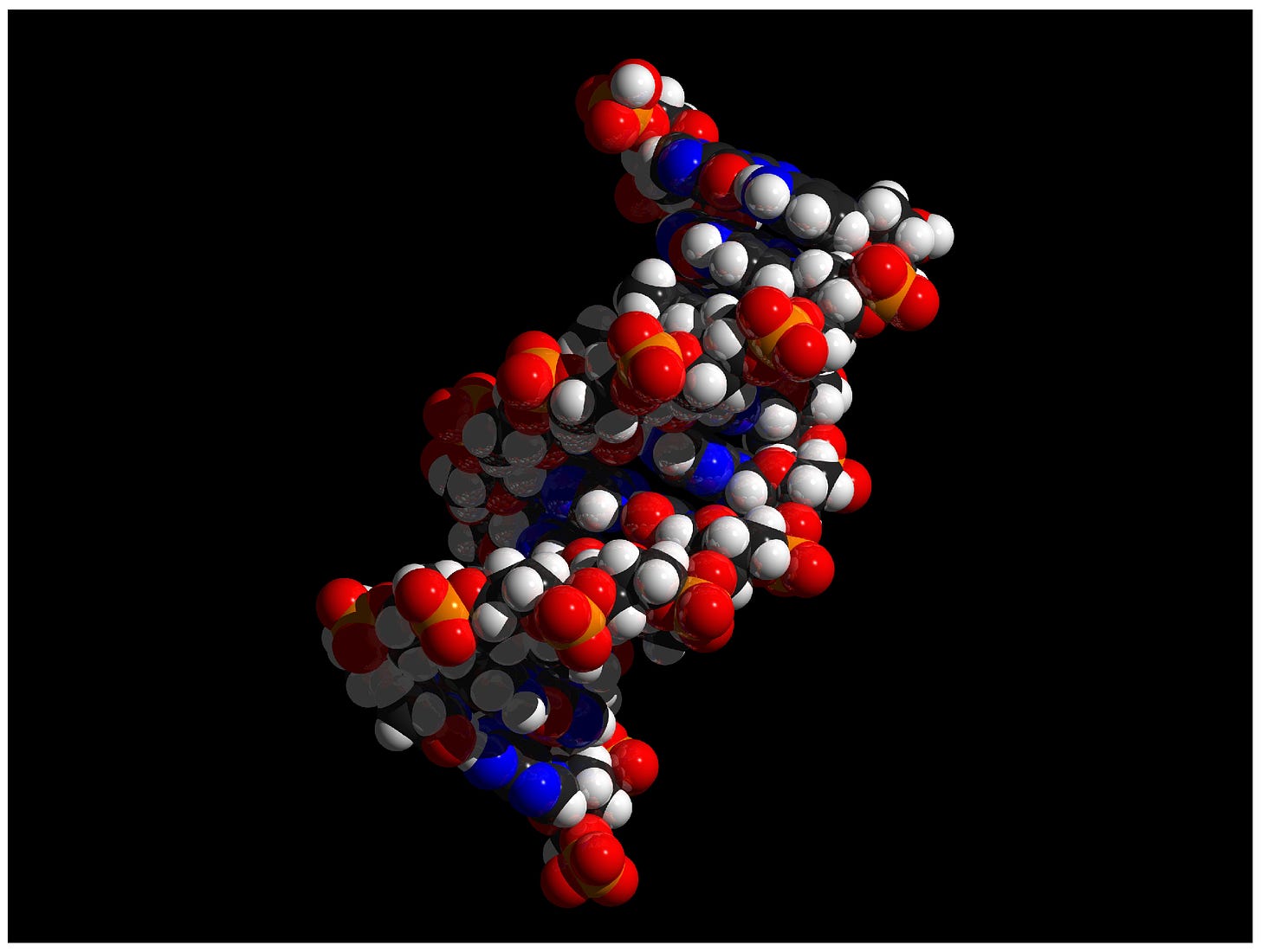 File:200 DNA Double Helix-02.jpg - Wikimedia Commons