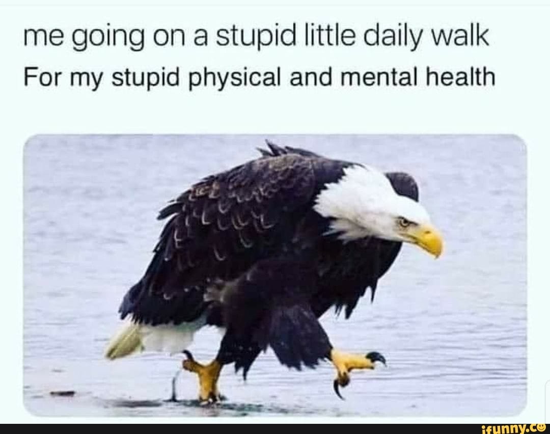 Me going on a stupid little daily walk For my stupid physical and mental  health - )