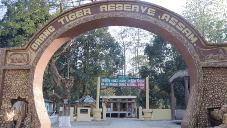 Assam Cabinet decides to rename Rajiv Gandhi National Park as Orang National  Park - India News