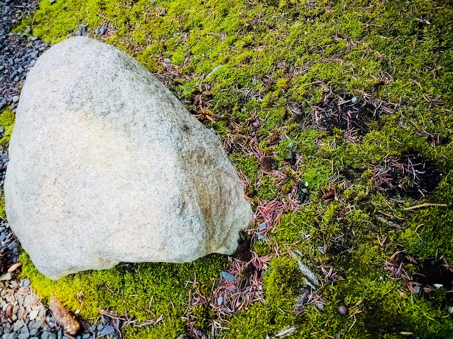 Stone set in moss