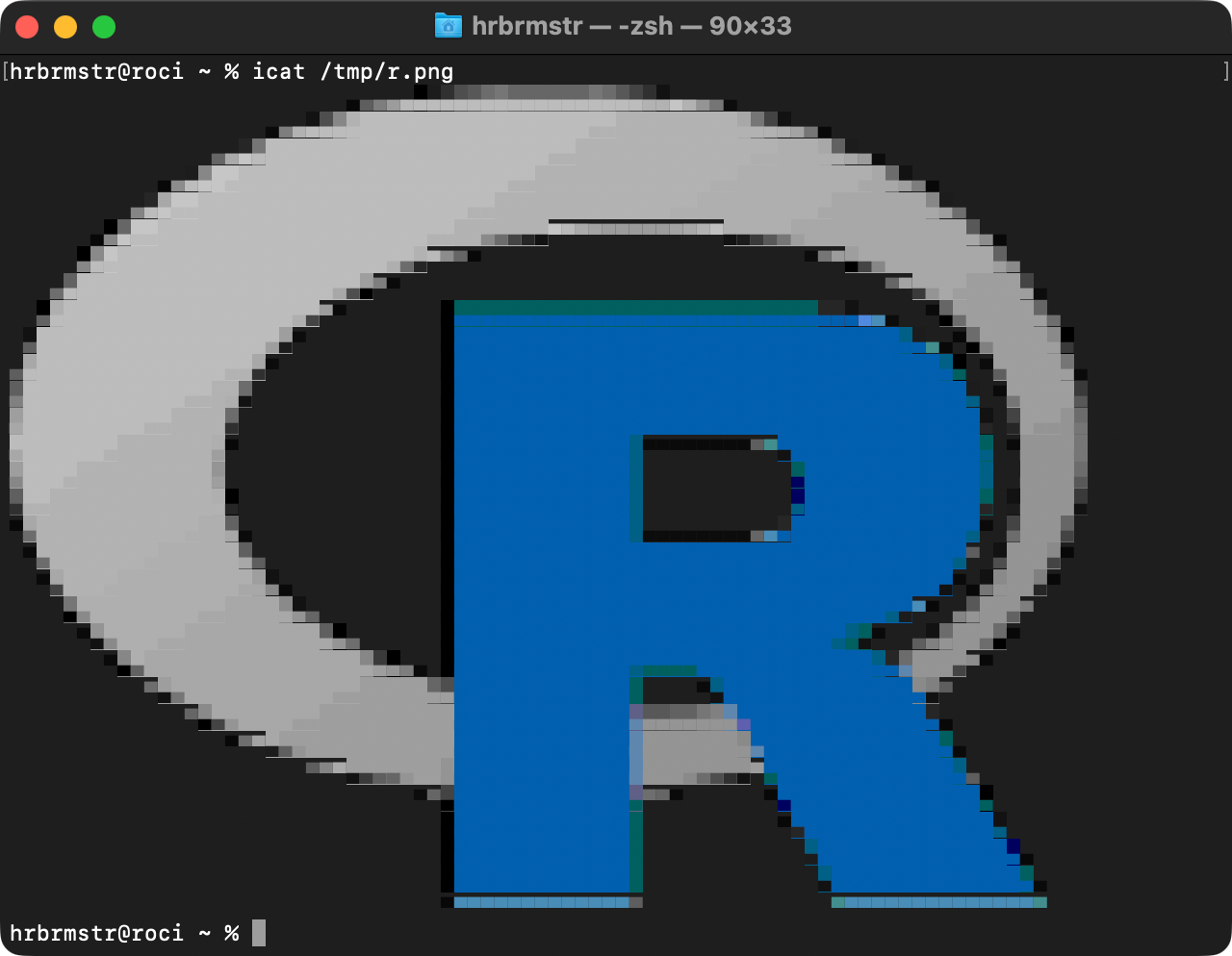 R logo displayed in a terminal
