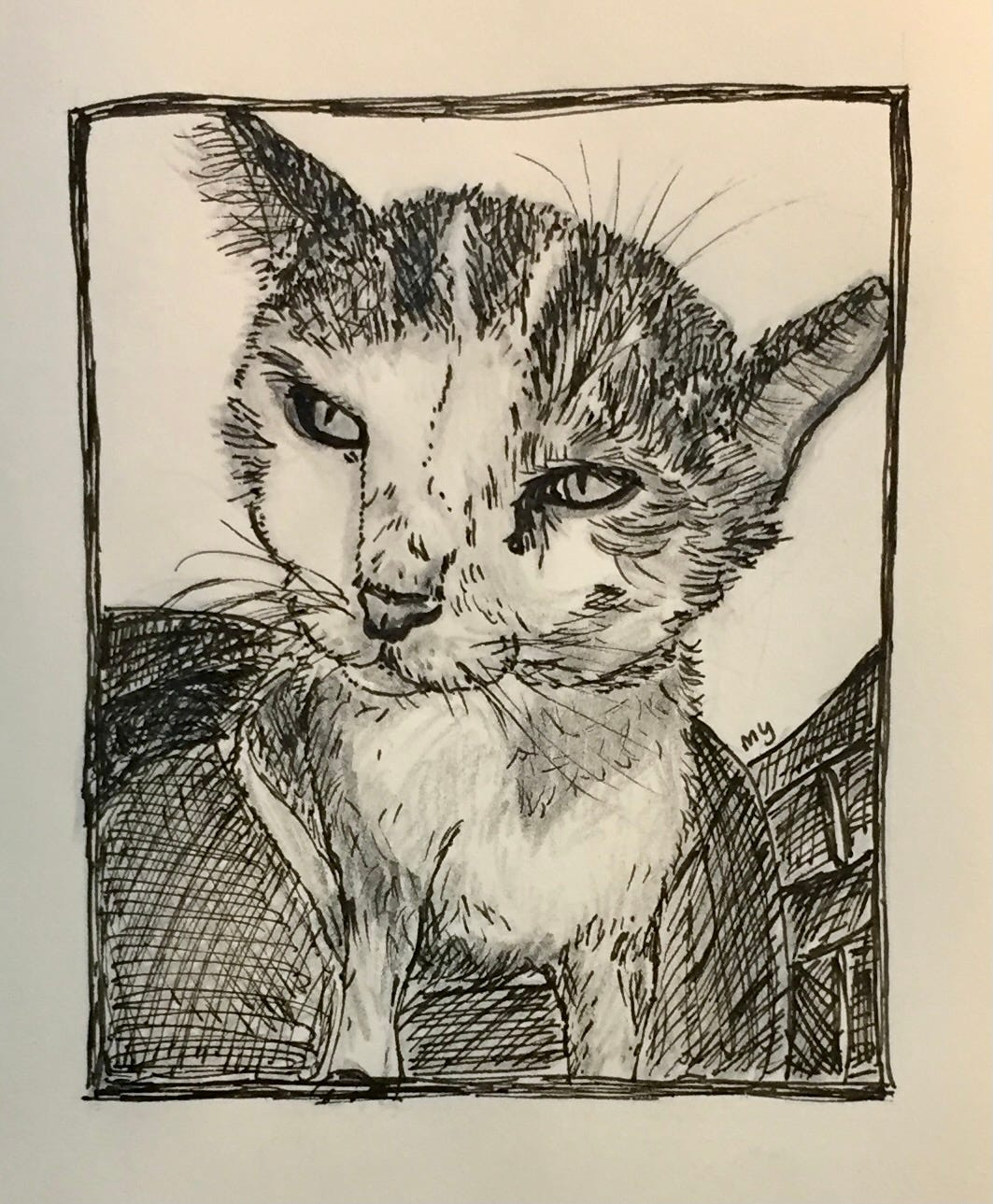 ink and pencil drawing of cat sitting on a chair
