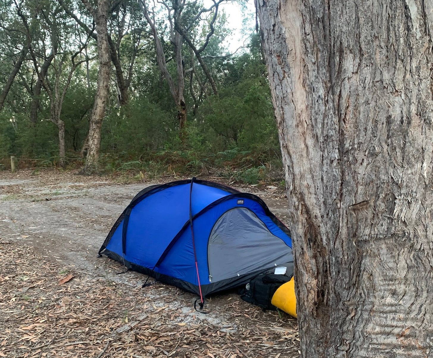 a blue tent on the floor of the Australian bush