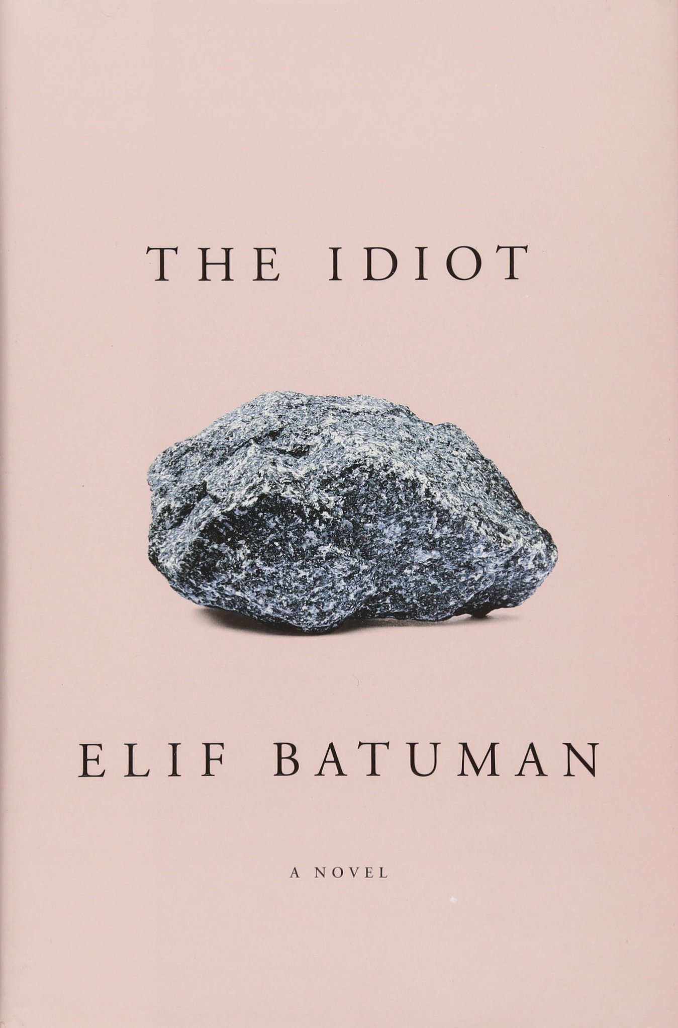 Image result for book the idiot