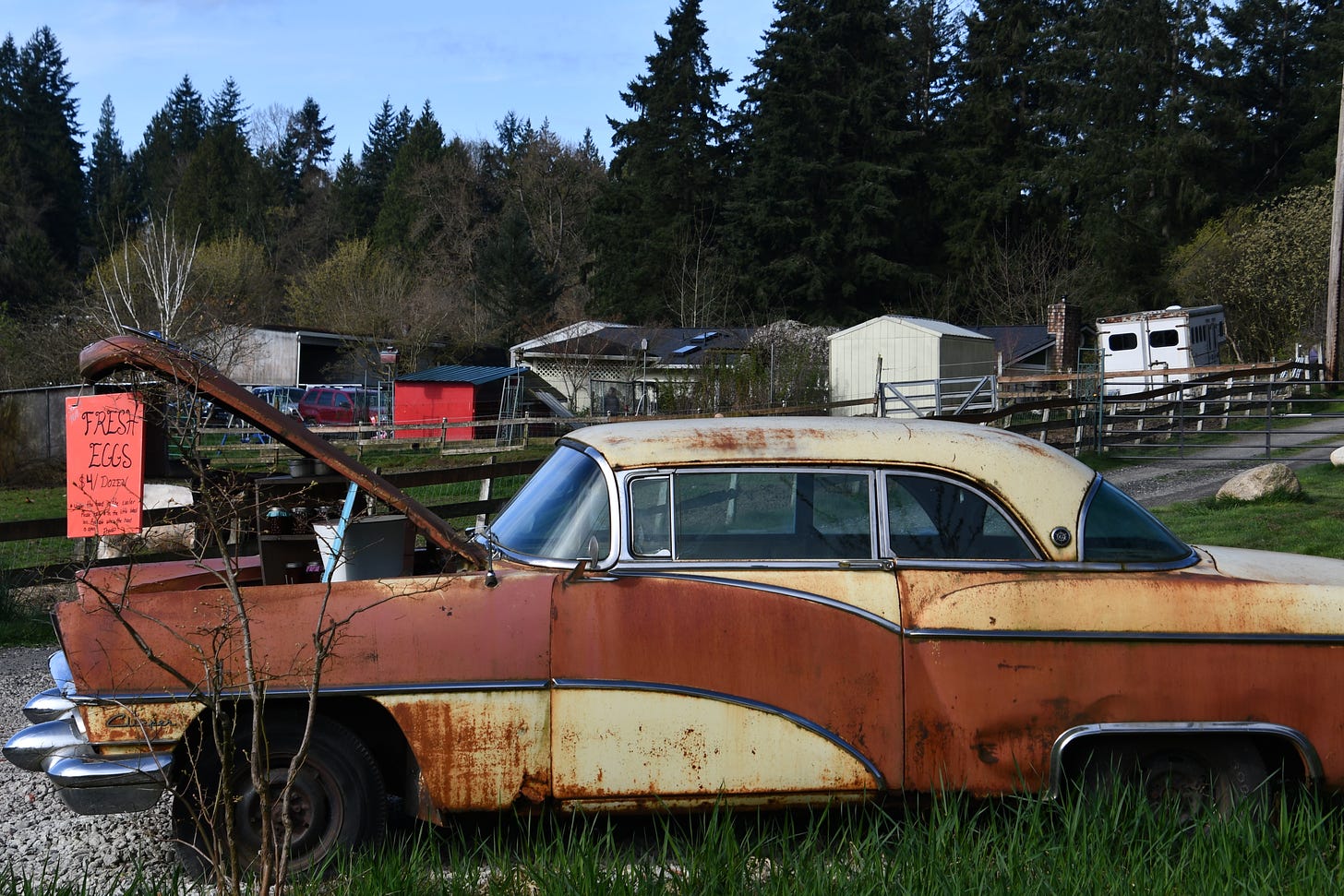 Old car as farm stand