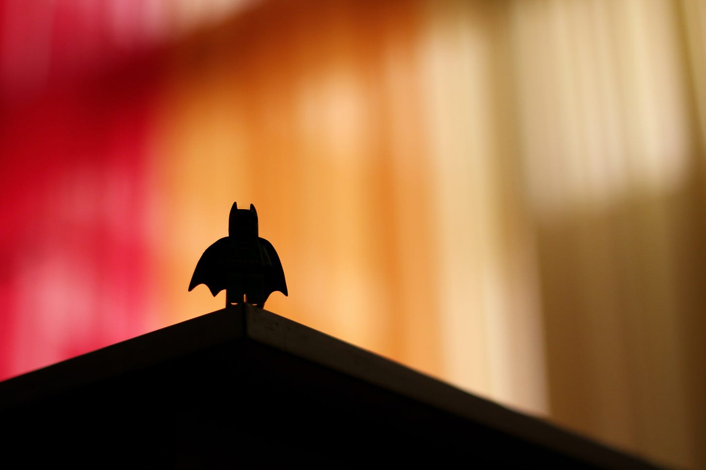 silhouette of bird on top of brown wooden shelf photo