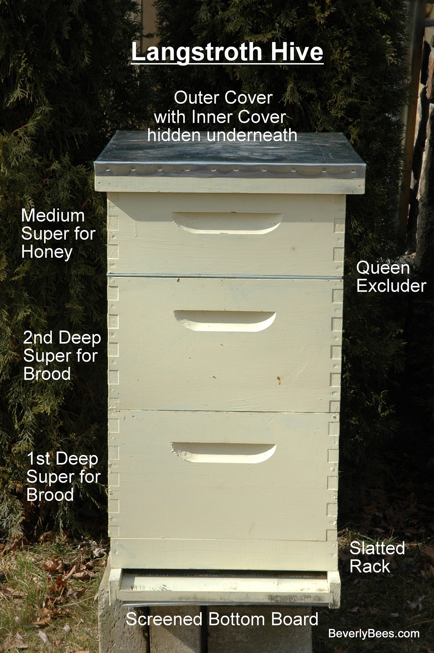 Parts of a Beehive - Beginner Beekeeper&#39;s Guide - Beekeeping - BEVERLY BEES