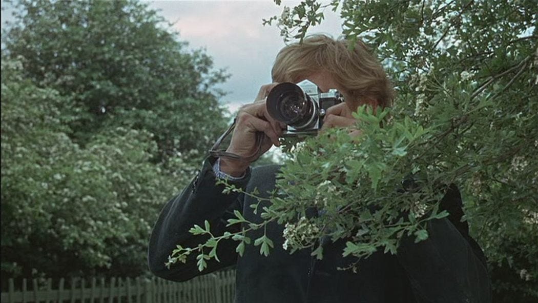 David Hemmings in a park sneaking a photograph in Antonioni’s “Blow-Up” (1967)