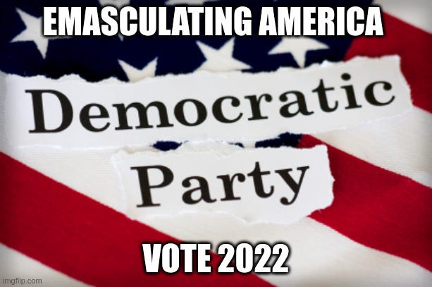 EMASCULATING AMERICA; VOTE 2022 | made w/ Imgflip meme maker
