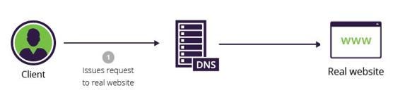 Client request -> DNS serve -> real website