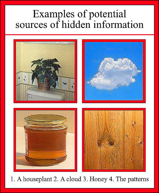 Title says: «Sources of potential hidden information», followed by a picture of a houseplant, a cloud, a jar of honey, and a wall made of tree, the latter described as «the patterns». 