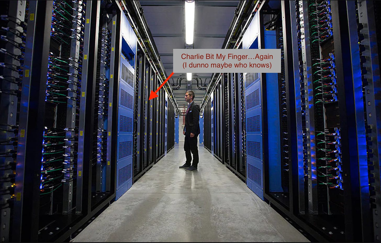 Image from the telegraph inside of a server farm. Caption mentions that maybe the charlie bit my finger video is store here.