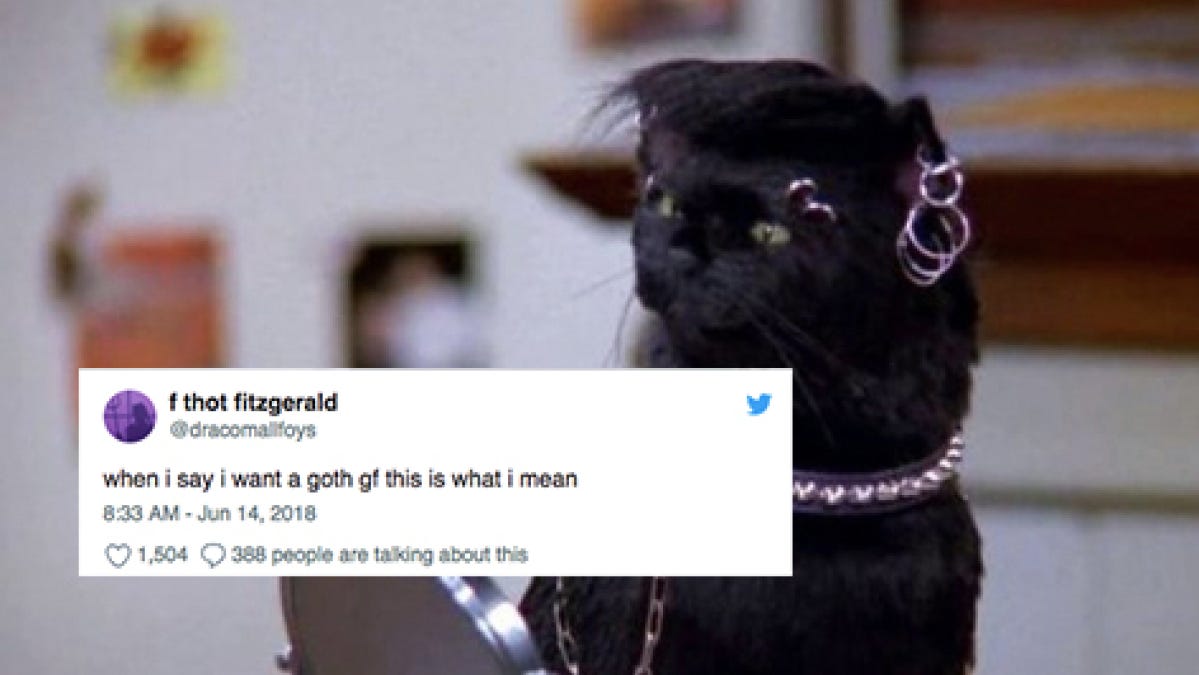 When I say I want a goth gf, this is what I meme | Mashable