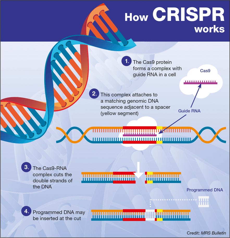 CRISPR: Implications for materials science