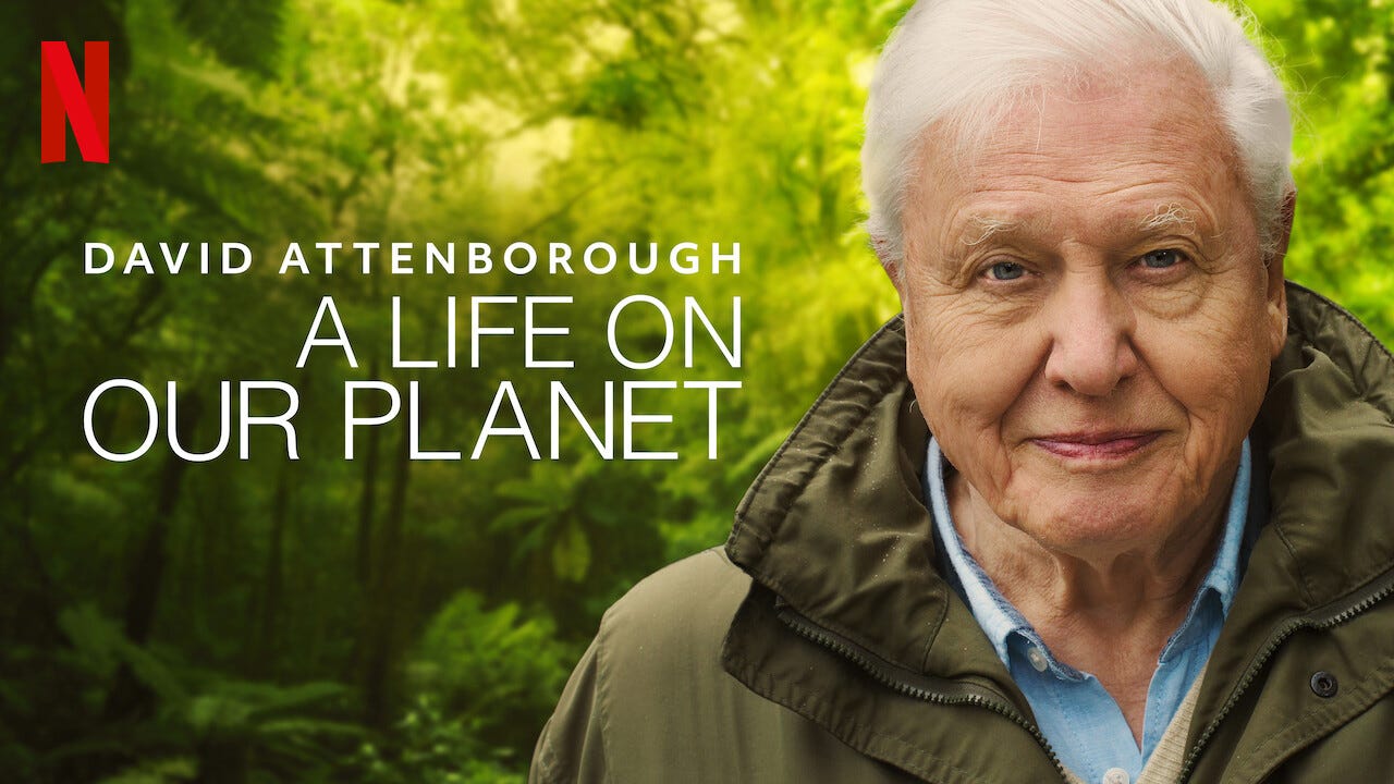CRISP. Films : David Attenborough, A Life On Our Planet Review | CRISP.