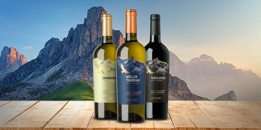 Discovering the wines of Trentino | Blog| Giordano wines