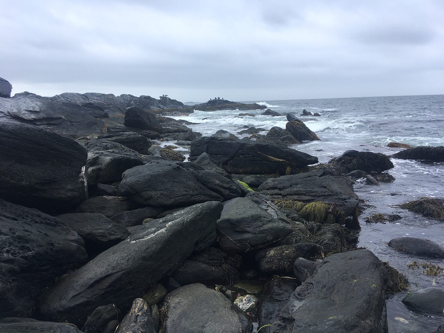 Dark gray boulders lapped by waves on an overcast day