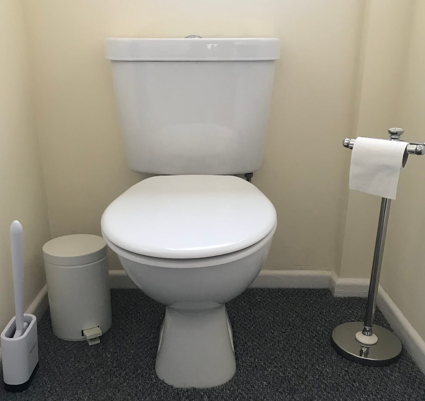 A picture of a modern flushing toilet, with a toilet paper holder waste bin and brush. Image: Roland's Travels