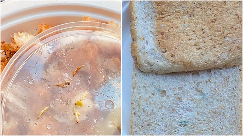 Photos showing maggots and mouldy bread that asylum seekers say was served to them for dinner