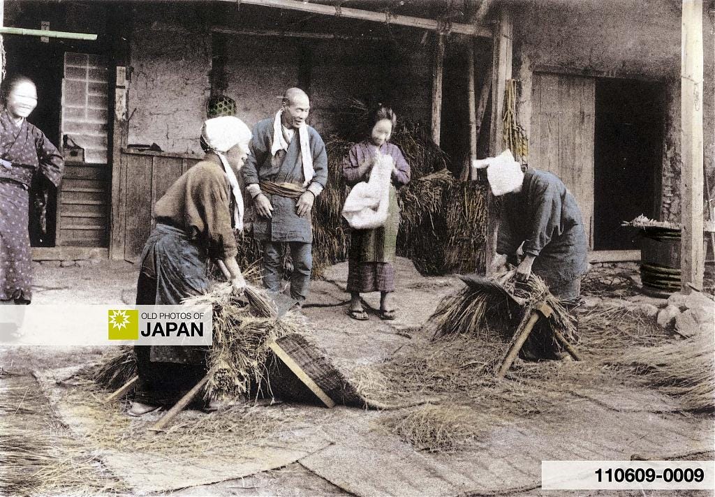 110609-0009 - Threshing Rice in Japan, 1907