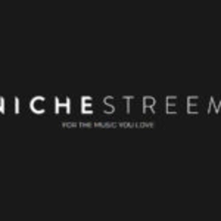 Music streaming service startup nichestreem selected us accelerator 150x150