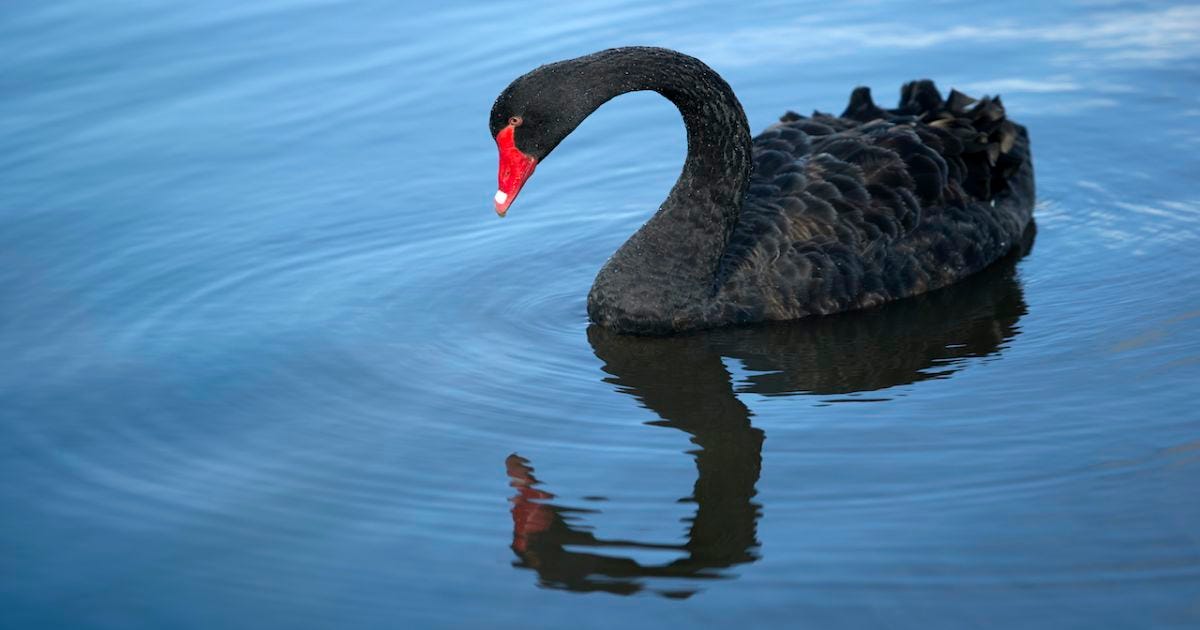 What Are Lessons for Leaders from This Black Swan Crisis? - HBS Working  Knowledge