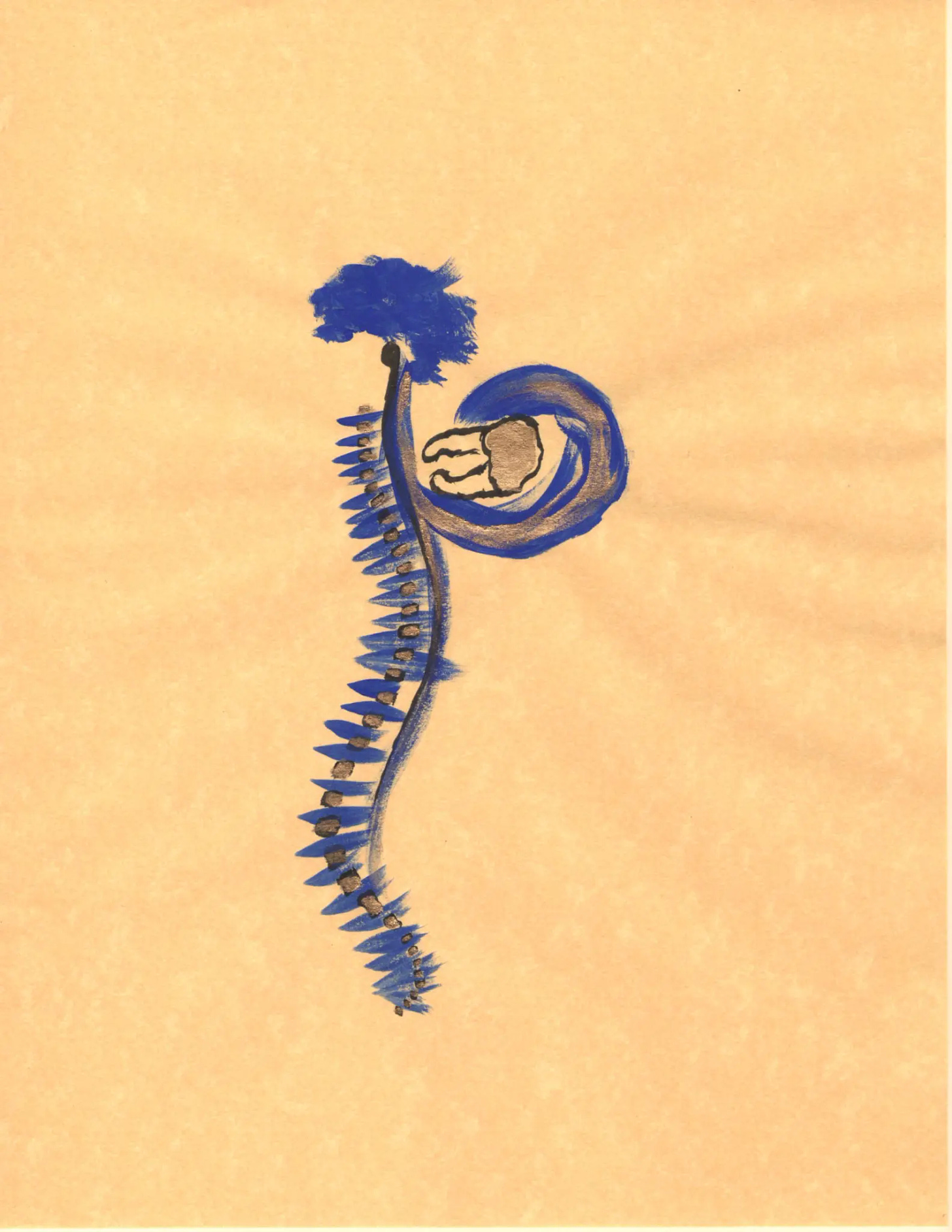 drawing of a spinal cord, vertebrae & brain with a tidal wave leaking from the back of the cervical spine and washing back toward the body, a gold-capped molar caught up in the wave; the spinal cord is drawn in black with gold illumination, the vertebrate in black with gold illumination over them, and the nerves, brain, and wave in ultramarine blue.