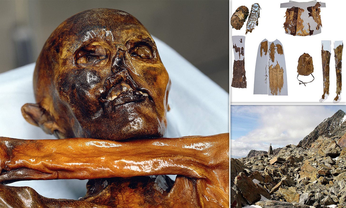 Ötzi the Iceman's journey to final resting place revealed by plant ...