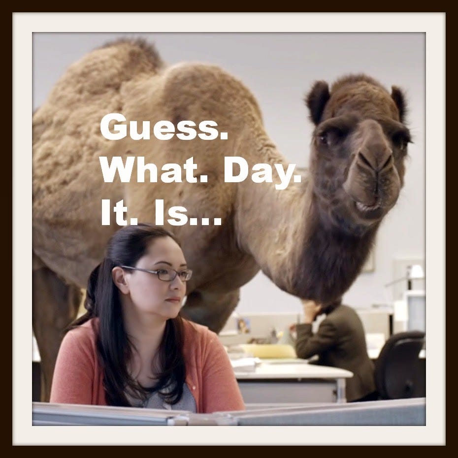 Words on Wheels: Uh Oh... Guess What Day It Is?