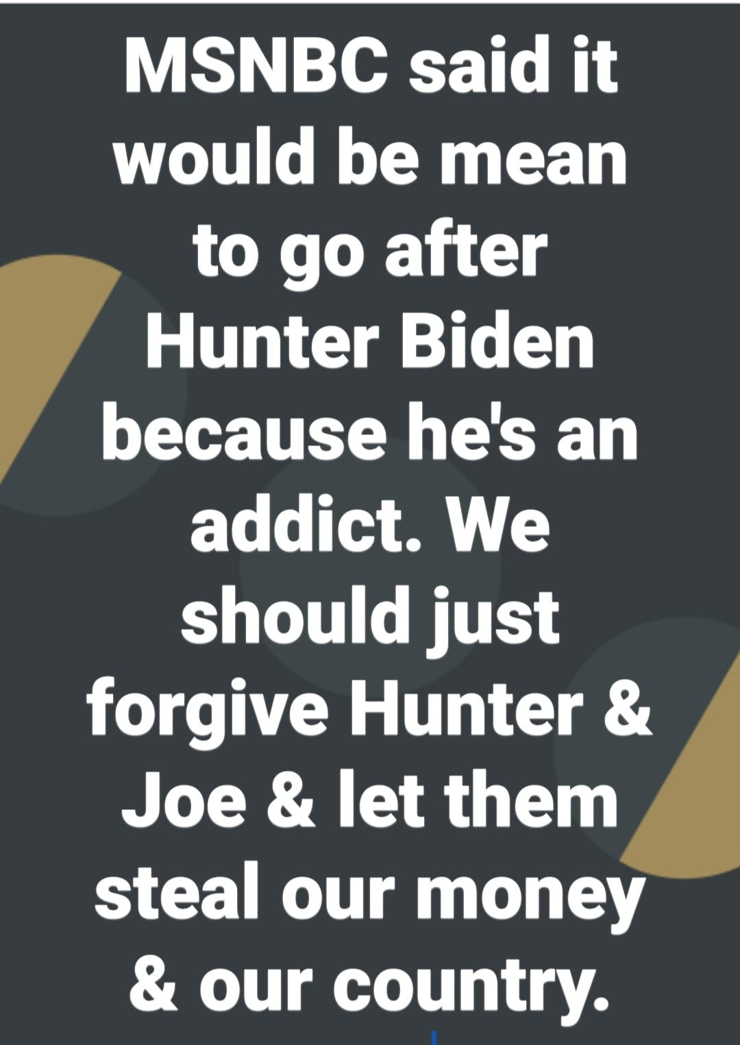 May be an image of text that says 'MSNBC said it would be mean to go after Hunter Biden because he's an addict. We should just forgive Hunter & Joe & let them steal our money & our country.'