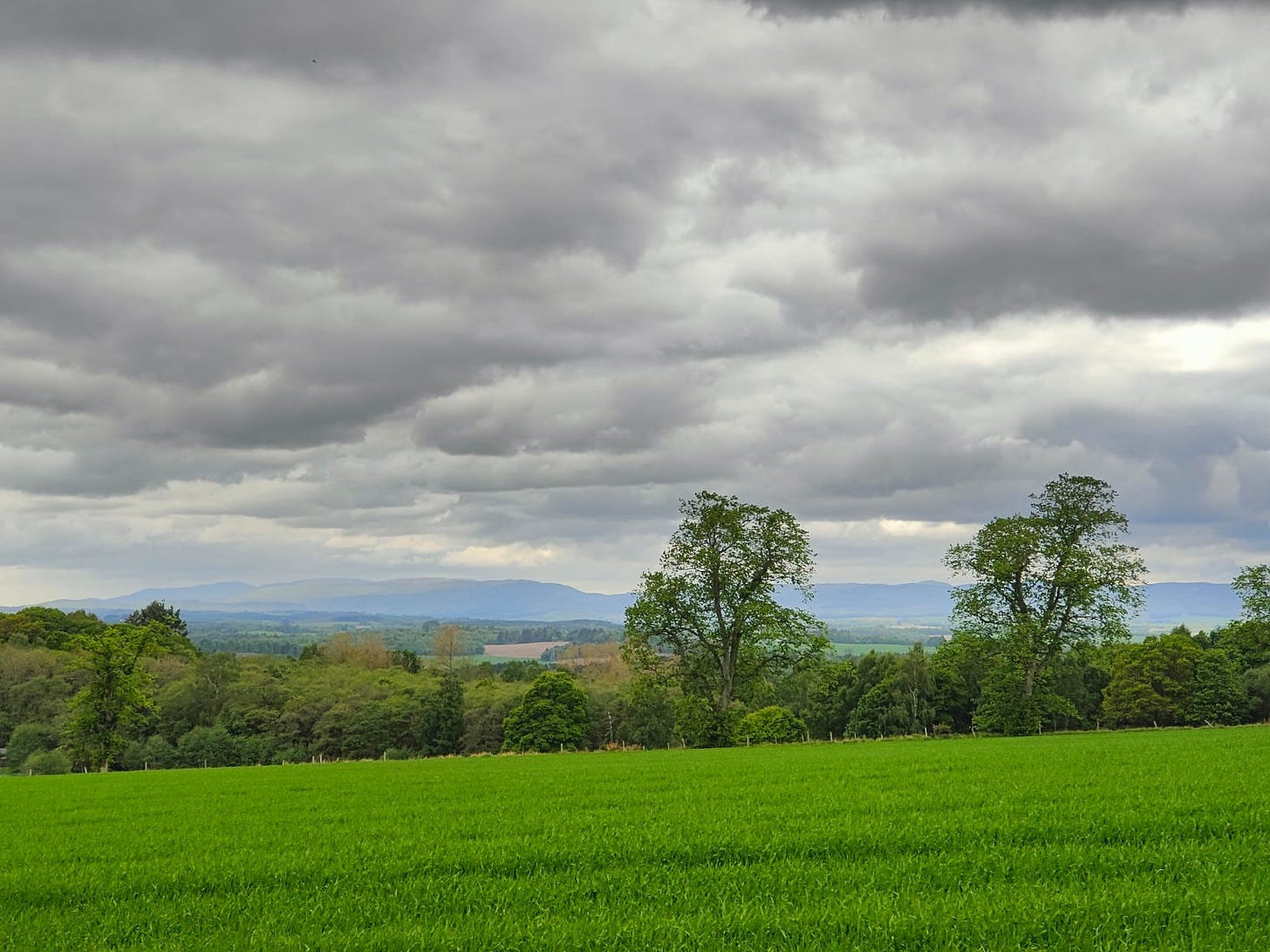 Colour photo of a view looking across fields to Ben Chonzie in the distance, there are grey clouds in the sky