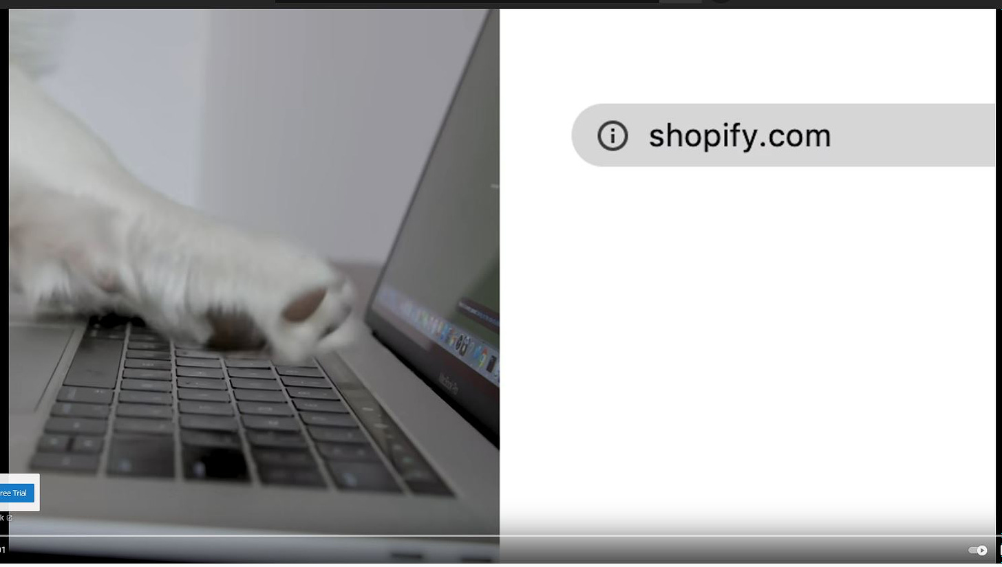 A dog typing 'shopify.com'. The world deserves to die.