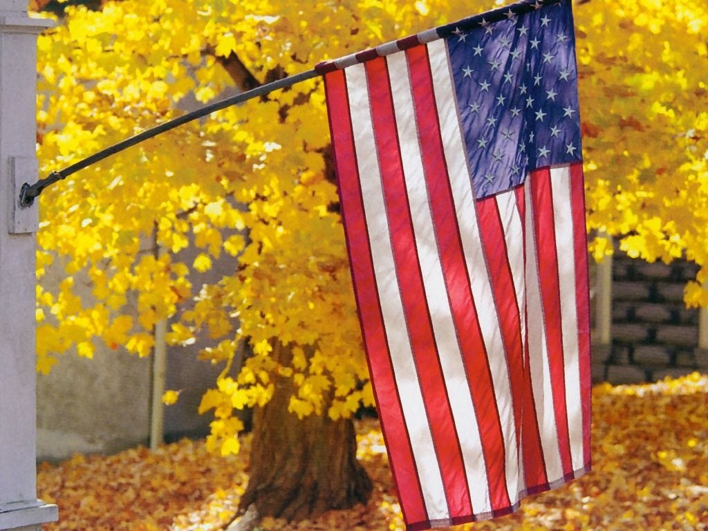 USA American Flag In Autumn | American flag images, American flag ...